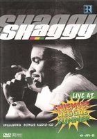 DVD-Shaggy-Live-at-Chiemsee-Reggae-Summer-(DVD+CD)